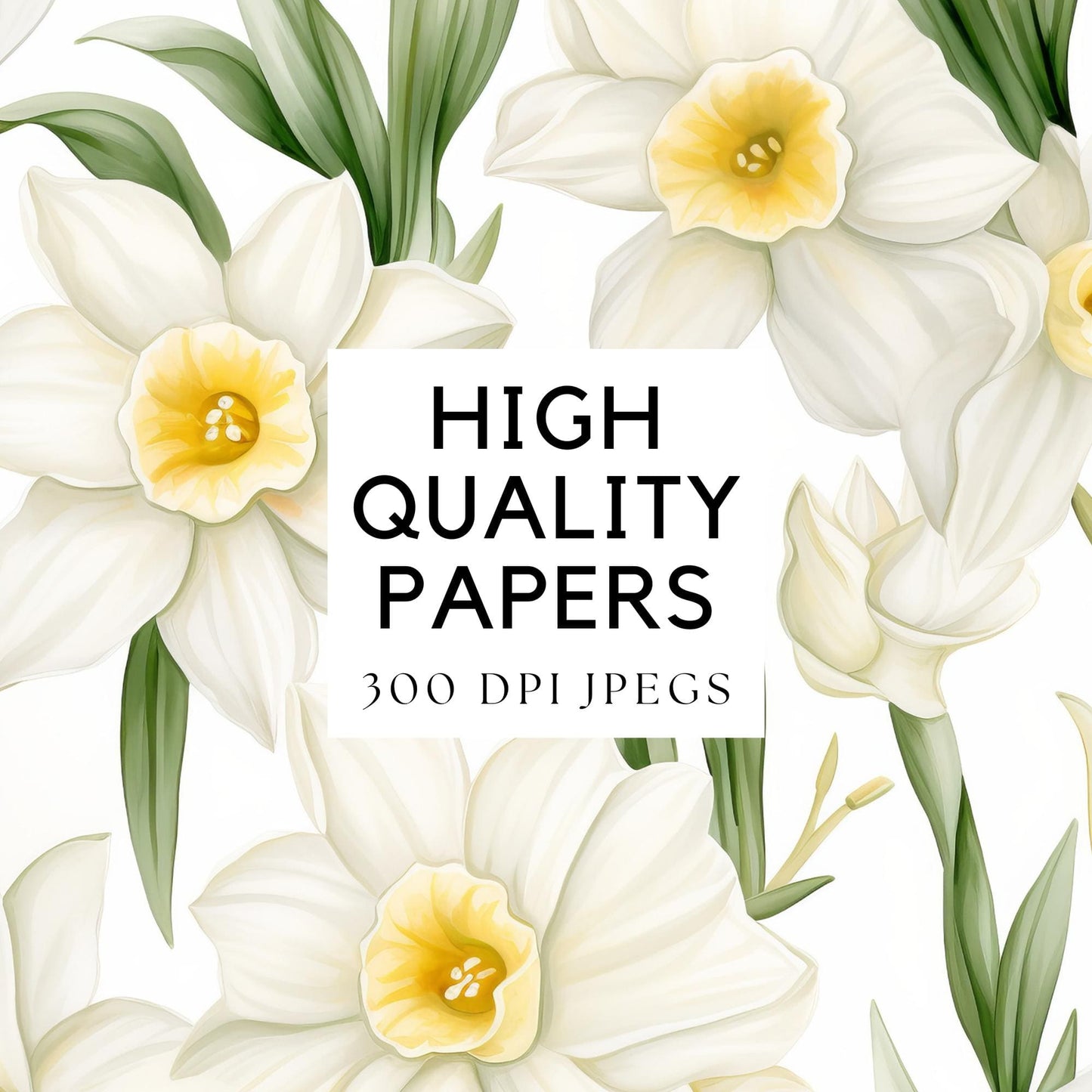 White Daffodil Seamless Pattern Digital Paper