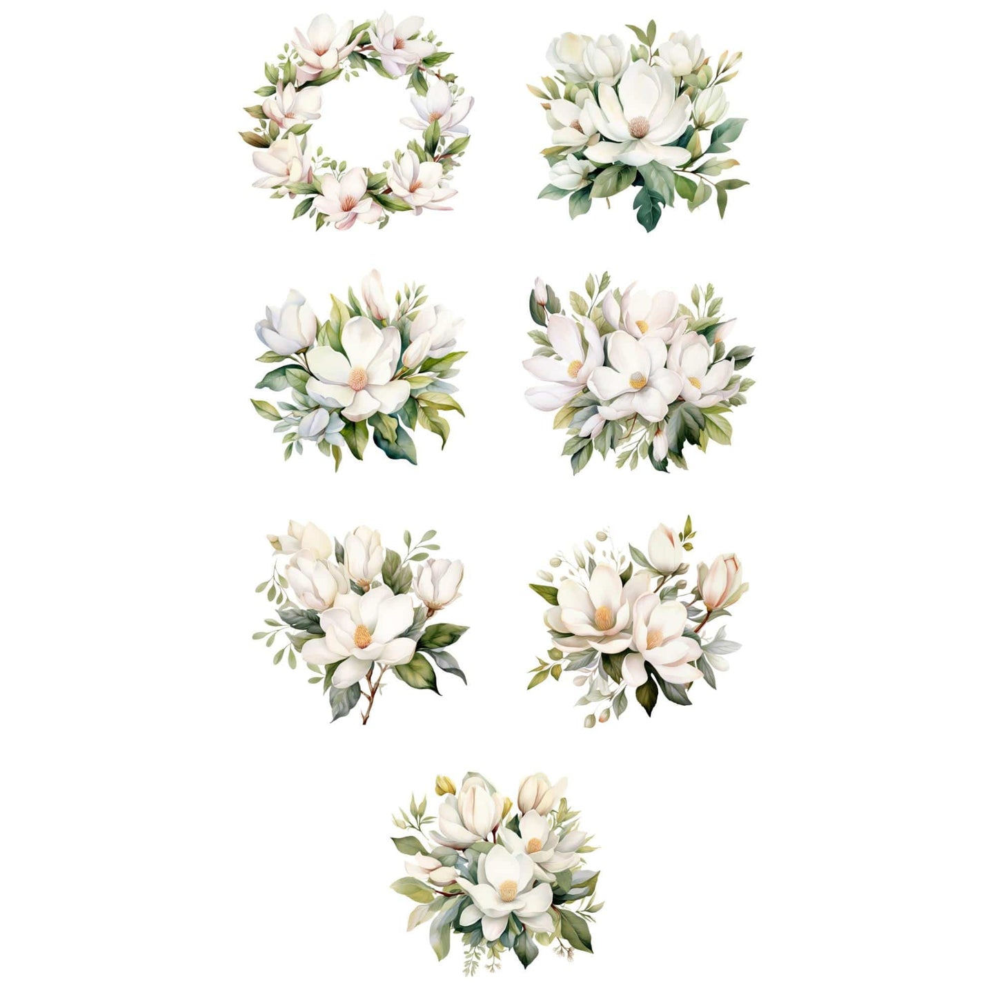 White Magnolia Clipart