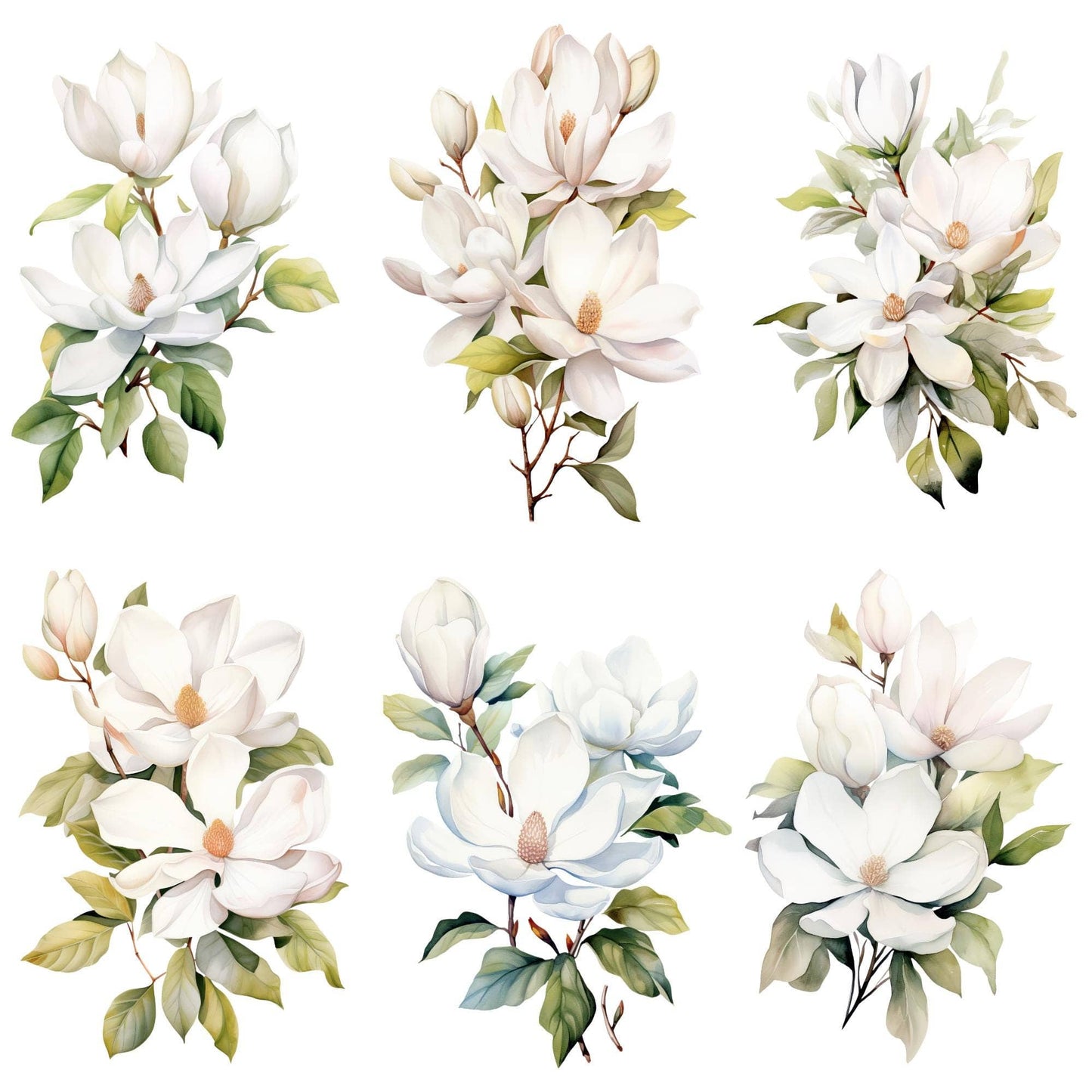White Magnolia Clipart