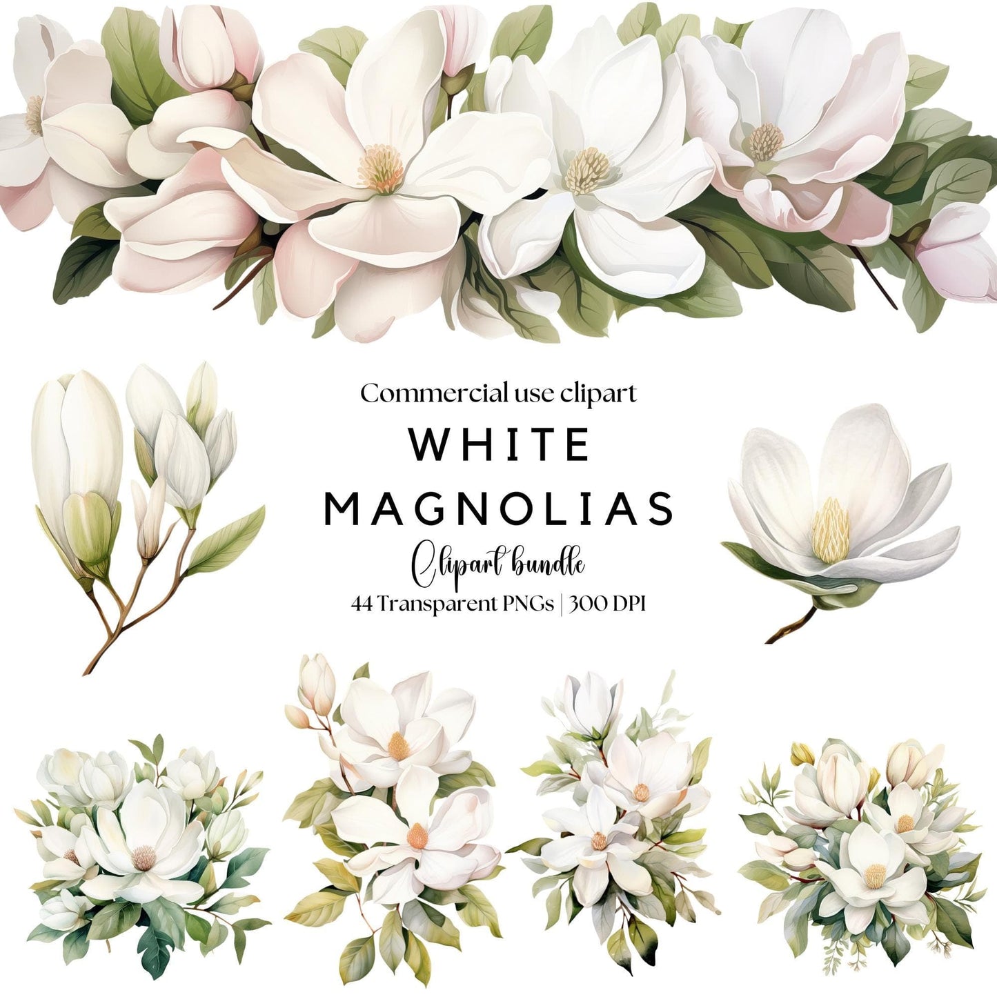 White Magnolia Clipart