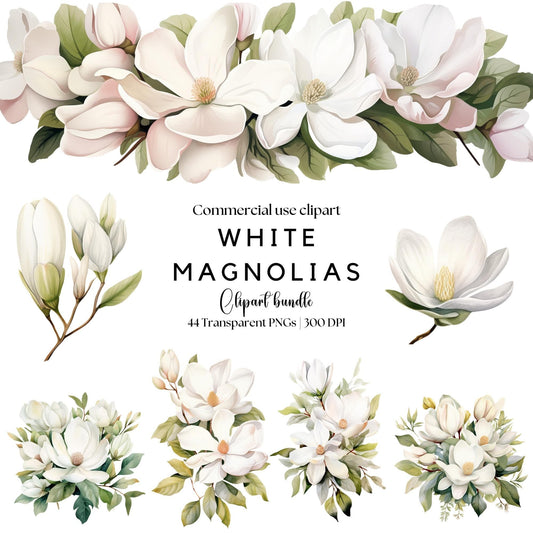 White Magnolia Clipart