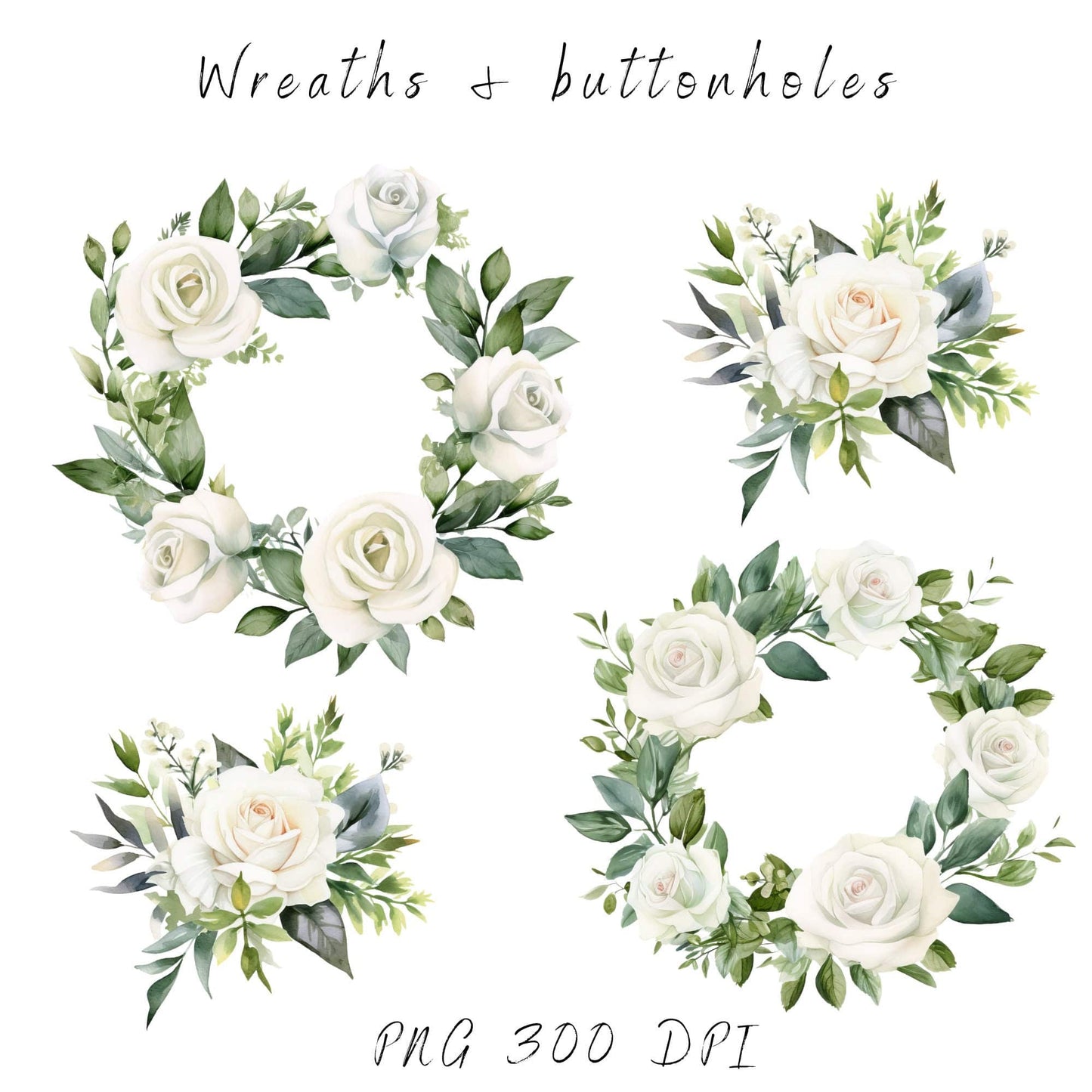 White Rose and Greenery Clipart
