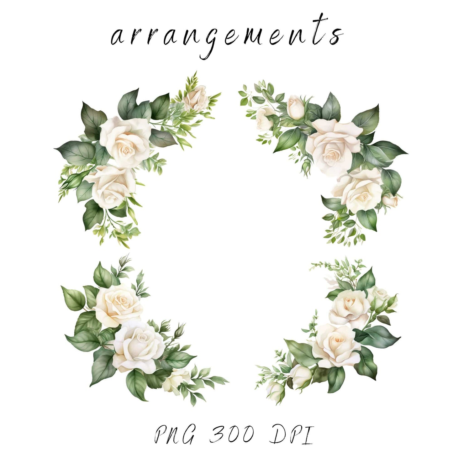 White Rose and Greenery Clipart