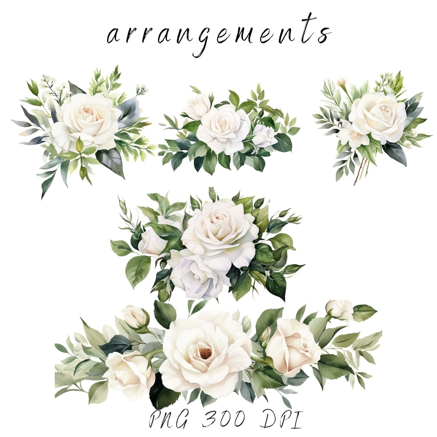 White Rose and Greenery Clipart