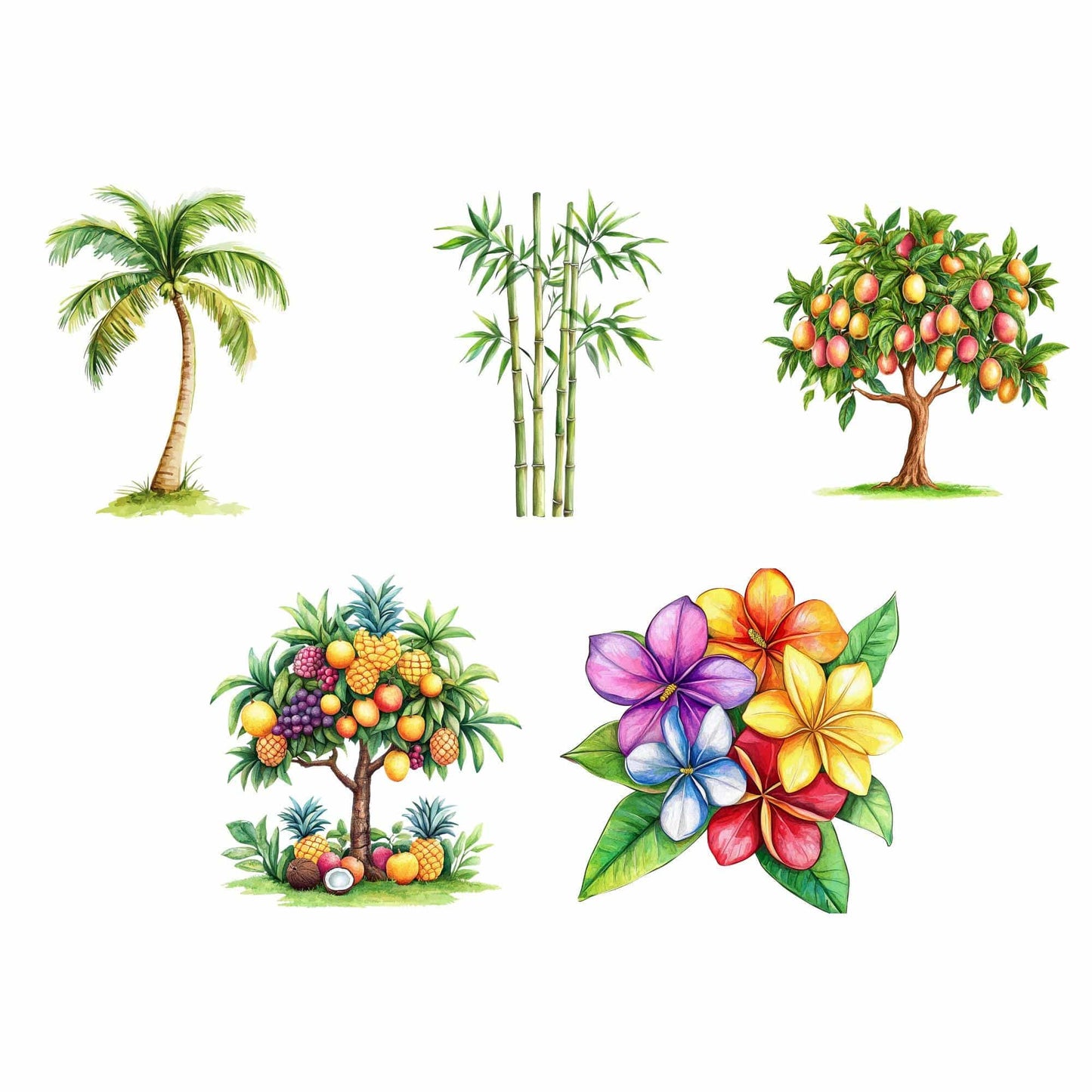 Wild One Safari Clipart