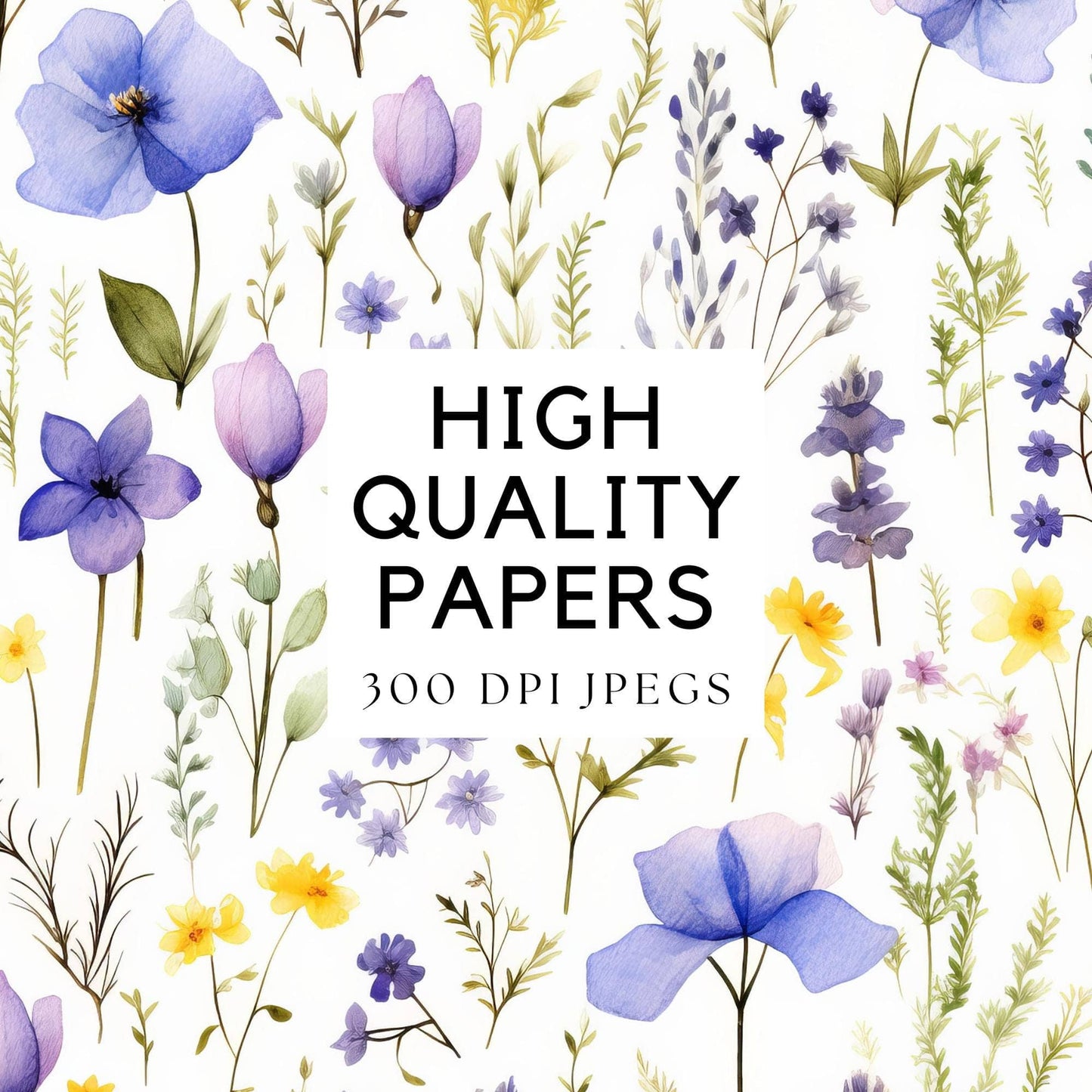 Wildflower Meadow Digital Papers | Seamless Floral Patterns