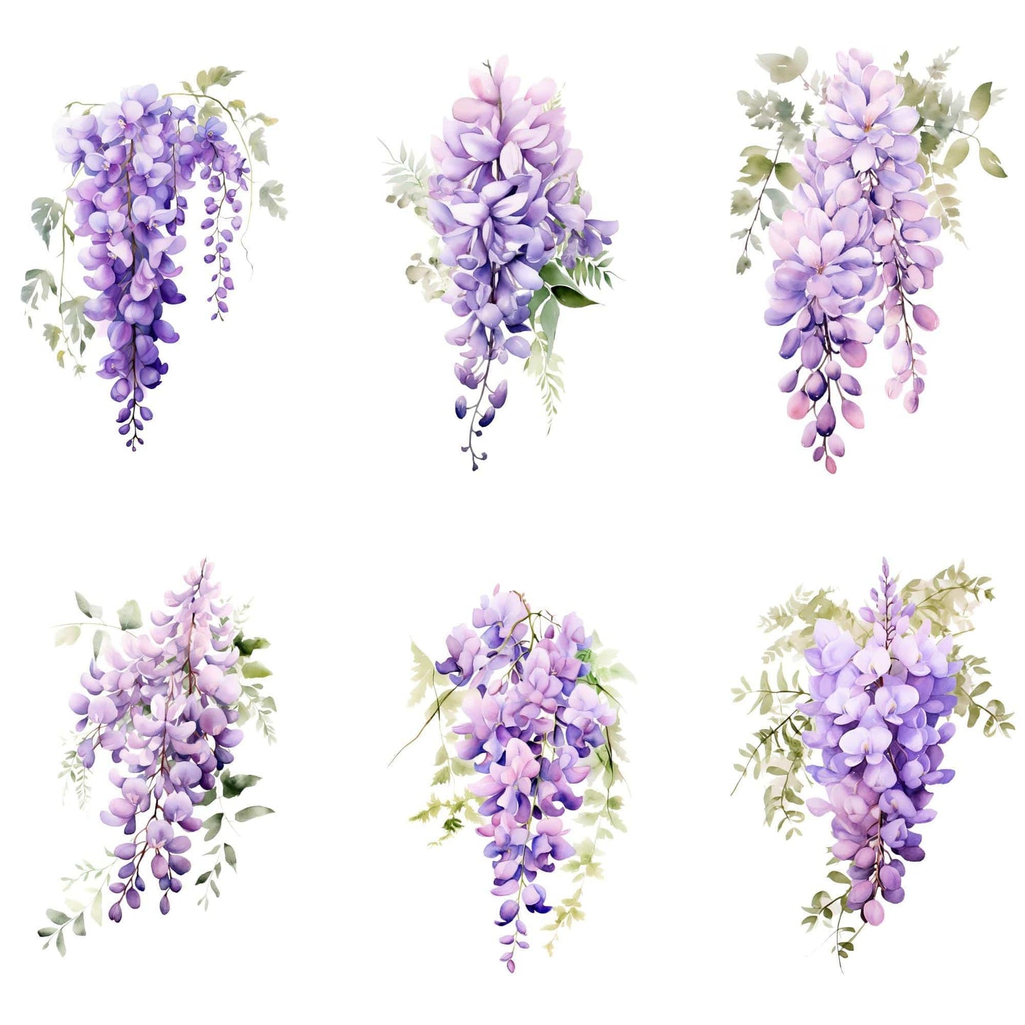 Wisteria Clipart