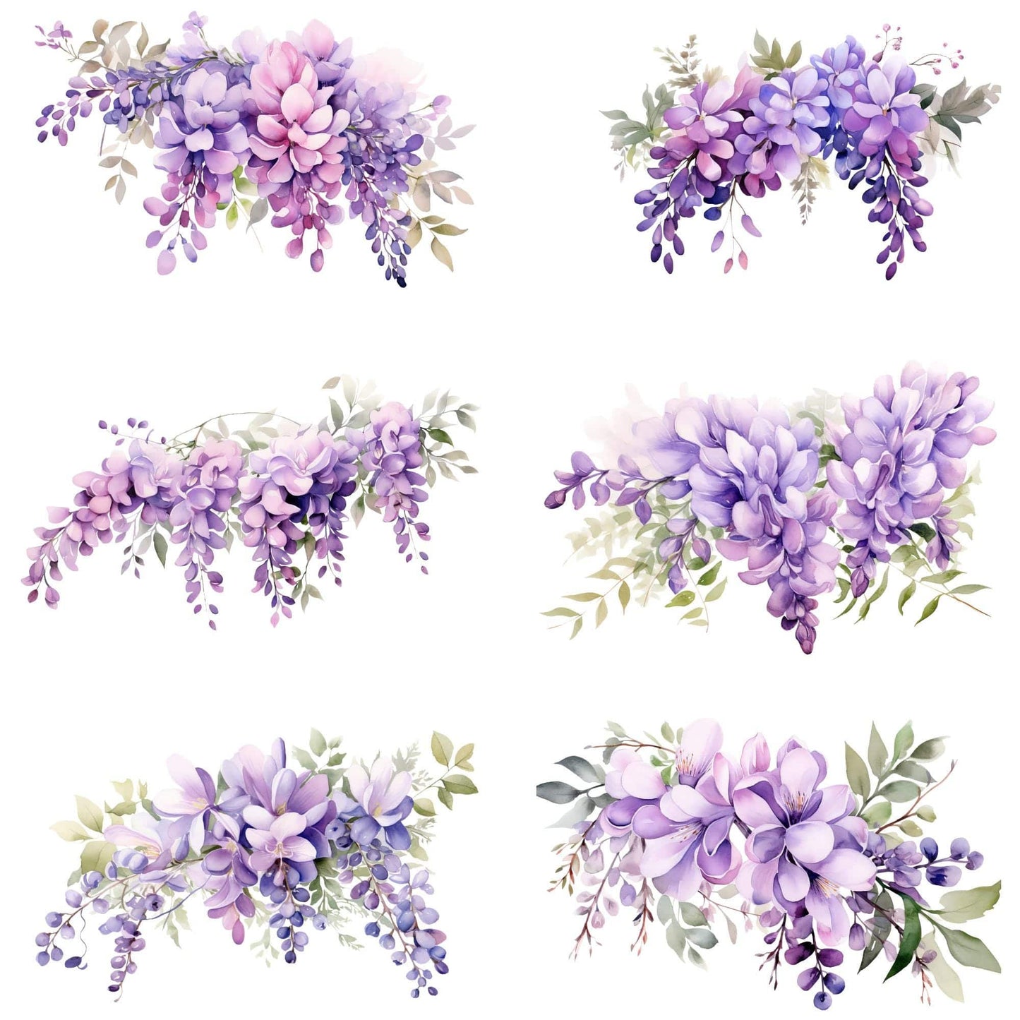 Wisteria Clipart