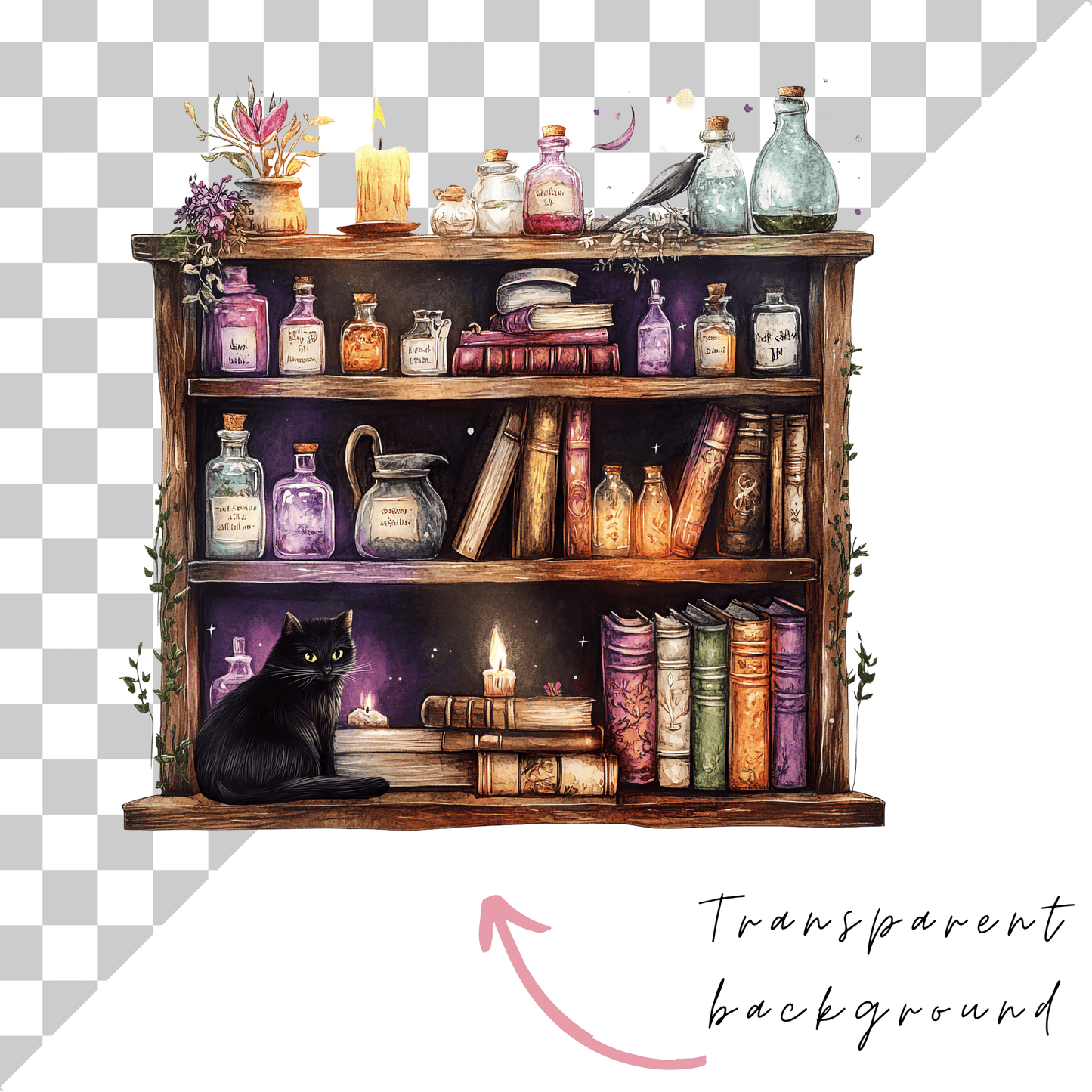 Witchy Bookshelf Clipart – Halloween Book Lover PNG for Magical Projects
