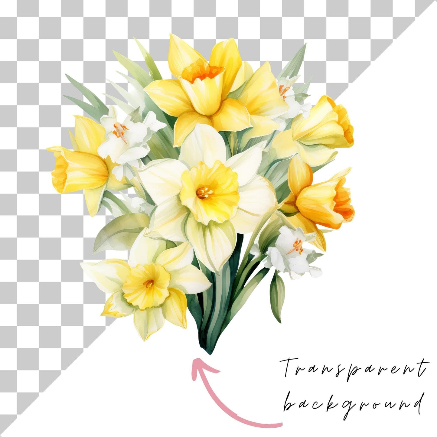 Yellow Daffodil Clipart