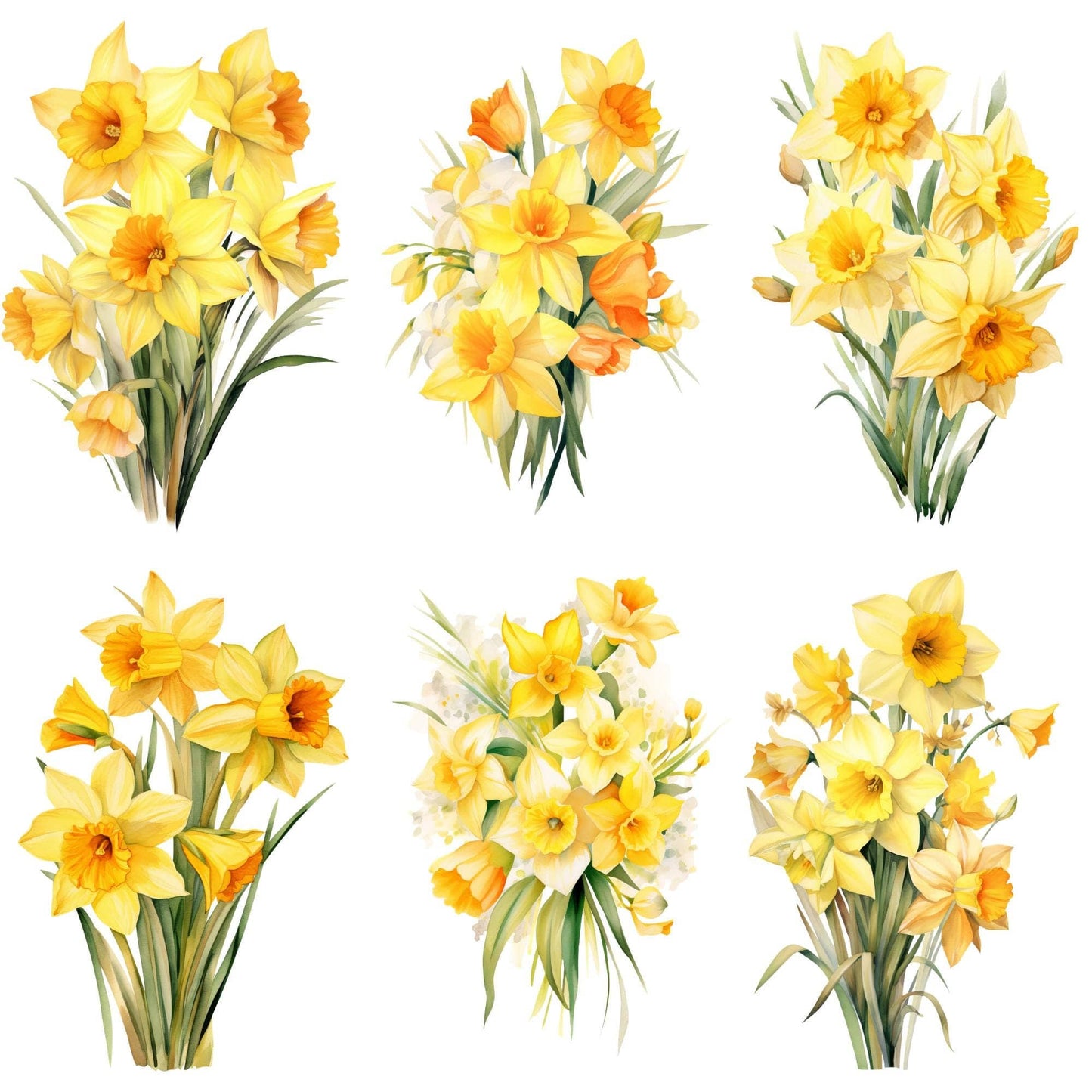 Yellow Daffodil Clipart